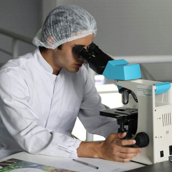 Young man looking through microscope quality assurance